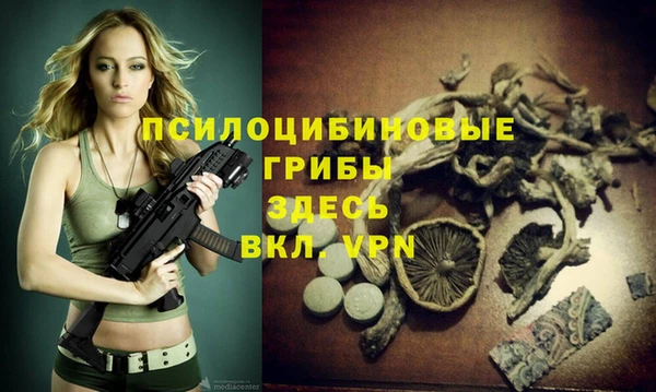 альфа пвп Ладушкин